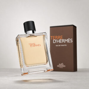 hermes terre d'hermes eau de toilette spray 100ml