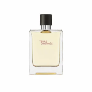 hermes terre d'hermes eau de toilette spray 100ml