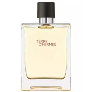 terre d'hermes eau de toilette spray 200ml
